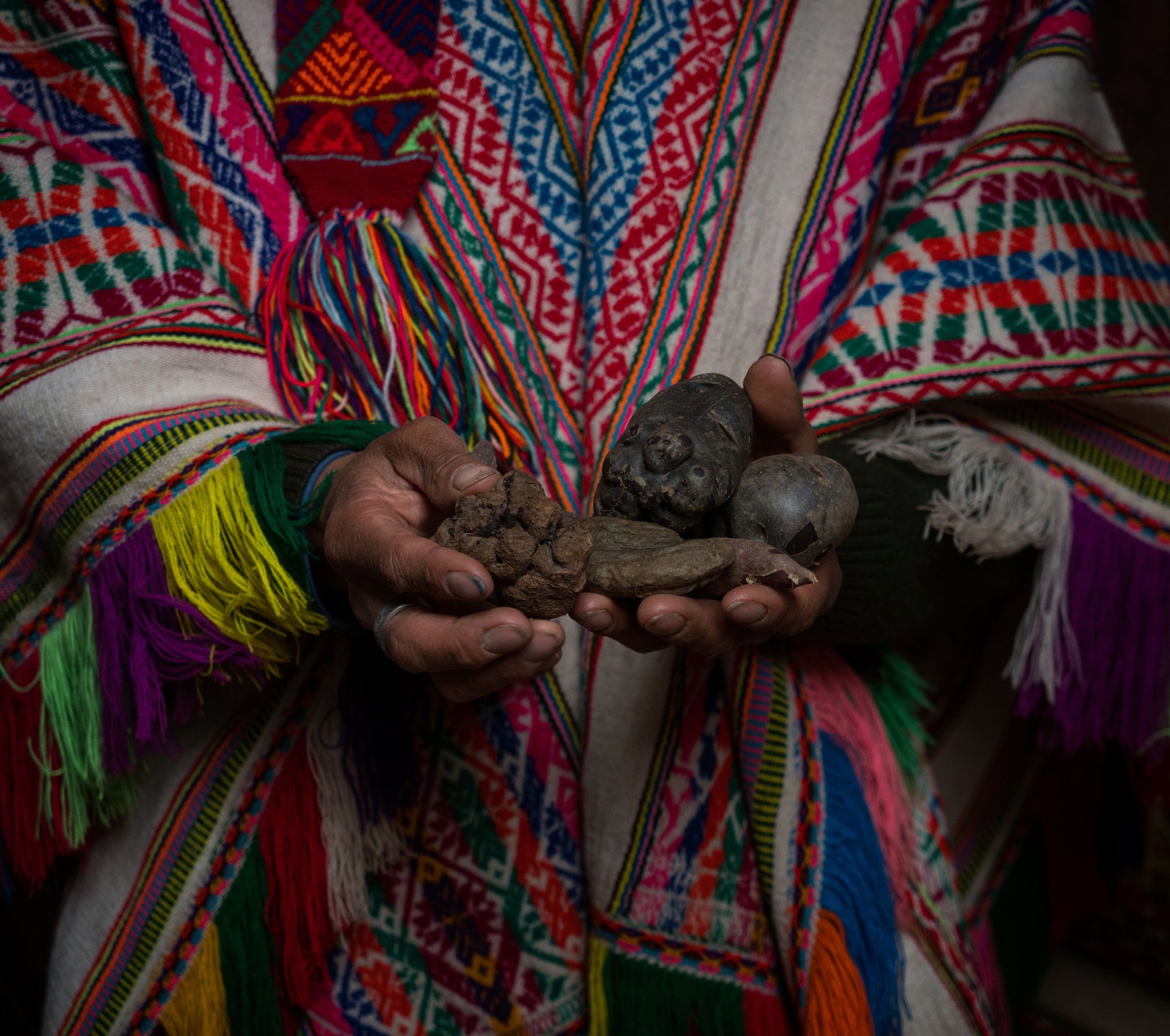 Indigenous farmer in typical traditional handwoven poncho clothes holding potatoes in hands Palccoyo village Cuzco Peru